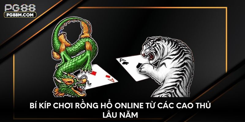 Bí kíp chơi rồng hổ online từ các cao thủ lâu năm
